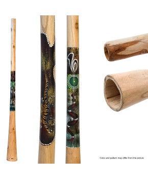 Didgeridoo Tik barvan 130cm...
