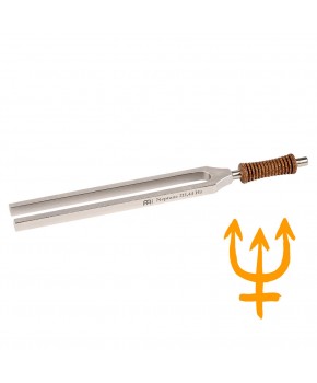 Glasbene terapevtske vilice...