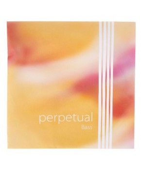 Struna D  3/4 strong...