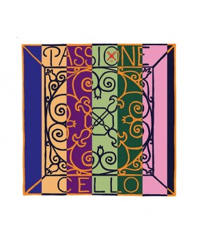 Struna D 4/4 Passione...