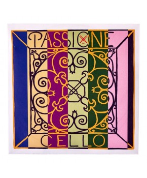 Struna A 4/4 Passione soft...