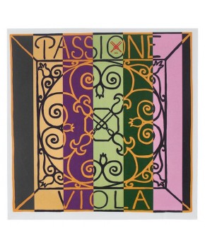 Struna G 4/4 Passione...