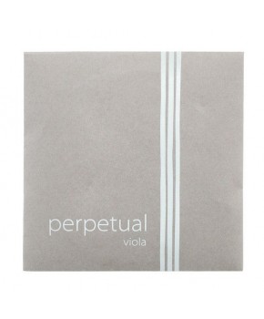 Struna G 4/4 Perpetual...