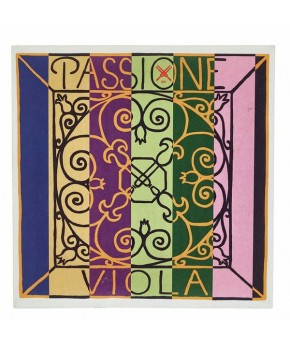 Struna D 4/4 Passione...