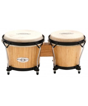 Bongo Synergy TOCA TO802.108