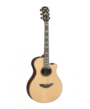 Kitara elektro-akustična...