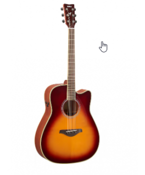 Kitara elektro-akustična...