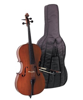 GEWApure Cello 4/4 outfit EW PS403.221