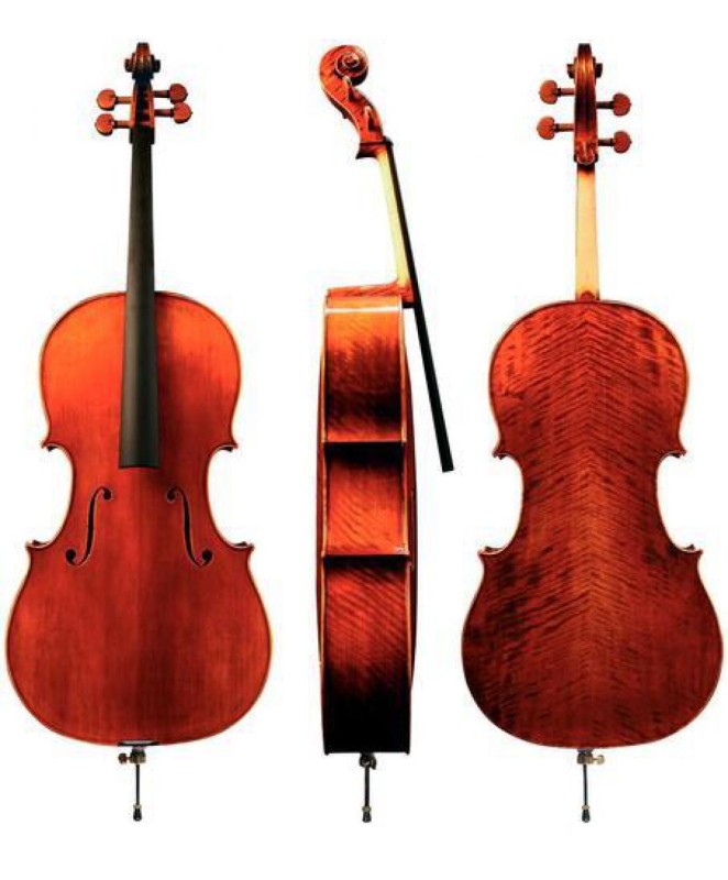 Violončelo Maestro 30