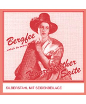 Strune za citre 32 str.KOVINSKE Munchenska-Bergfee