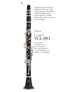 YCL - 881  Custom