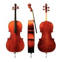 7/8 violončela